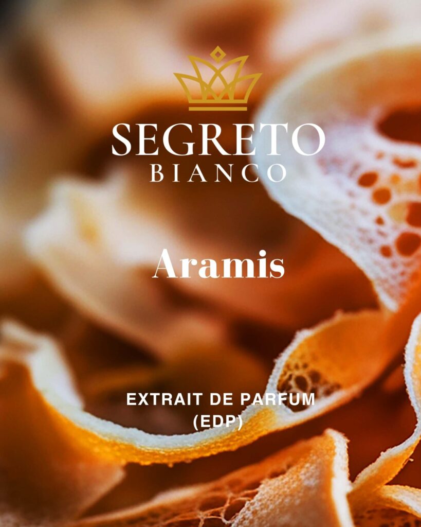 Aramis-scaled-e1761333916467-819x1024