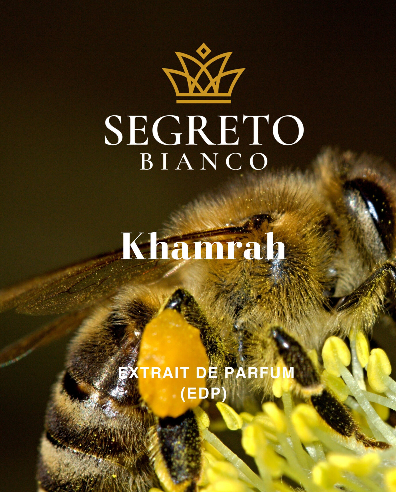 Khamrah-1-scaled-e1754231603749