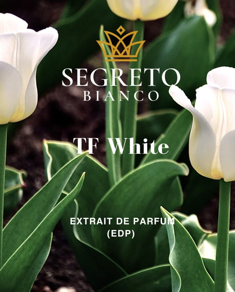 TF-White-scaled-e1761333462183-824x1024